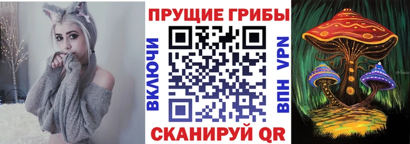 как найти наркотики Жуков Галлюциногенные грибы Magic Shrooms